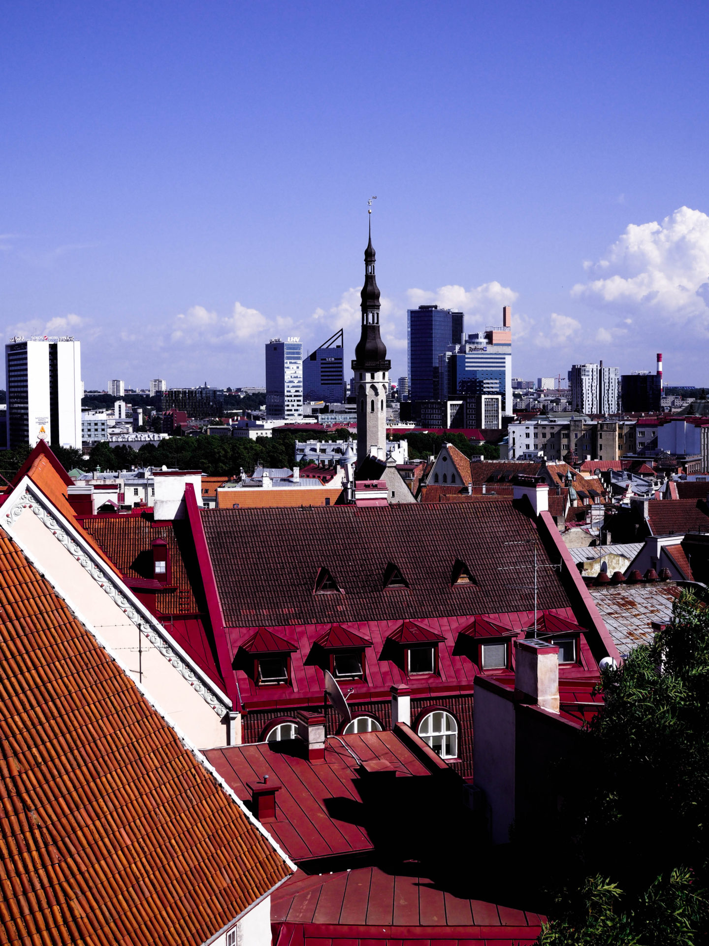 Zápisky z Tallinnu || Průvodce & Tipy
