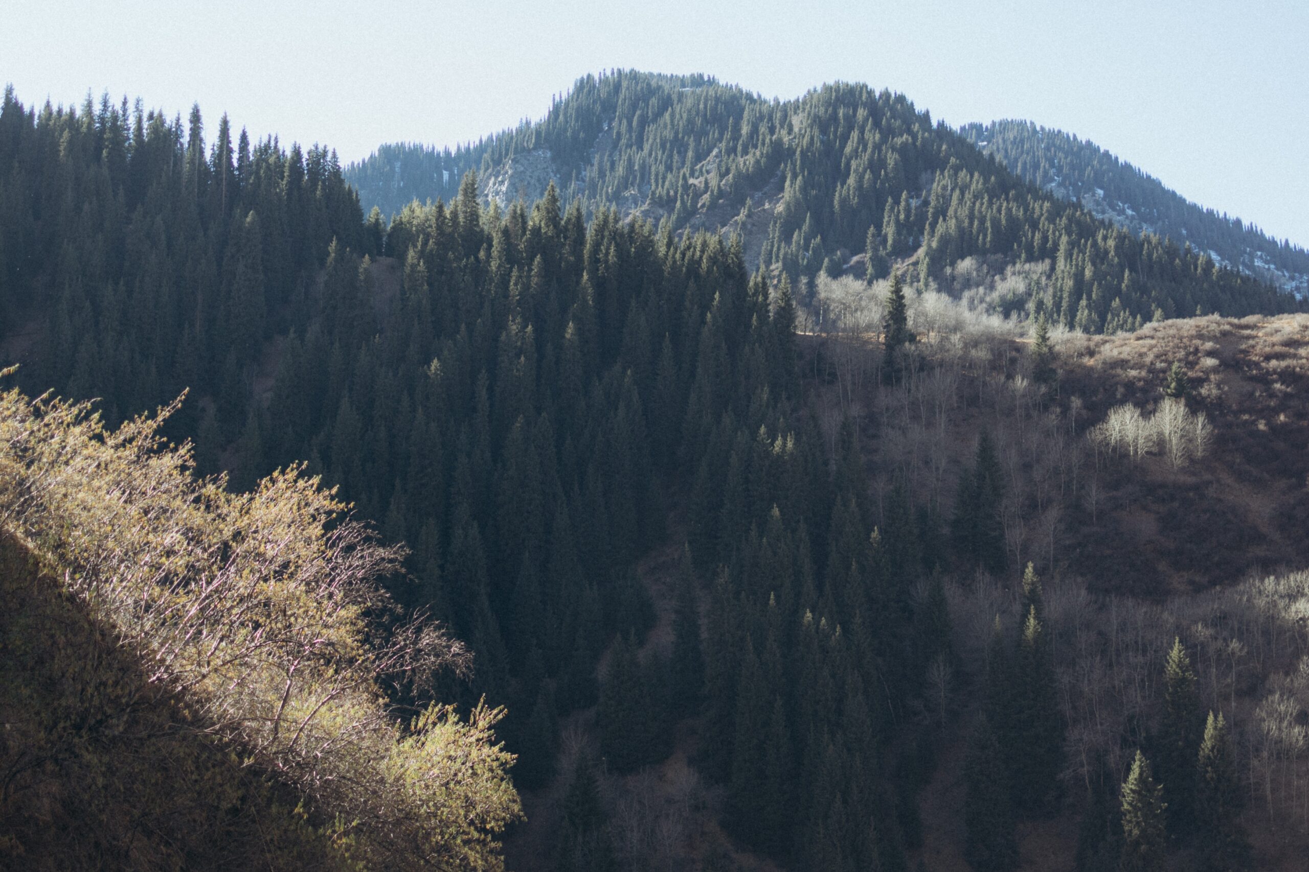 Podnikatelské know-how k nezaplacení