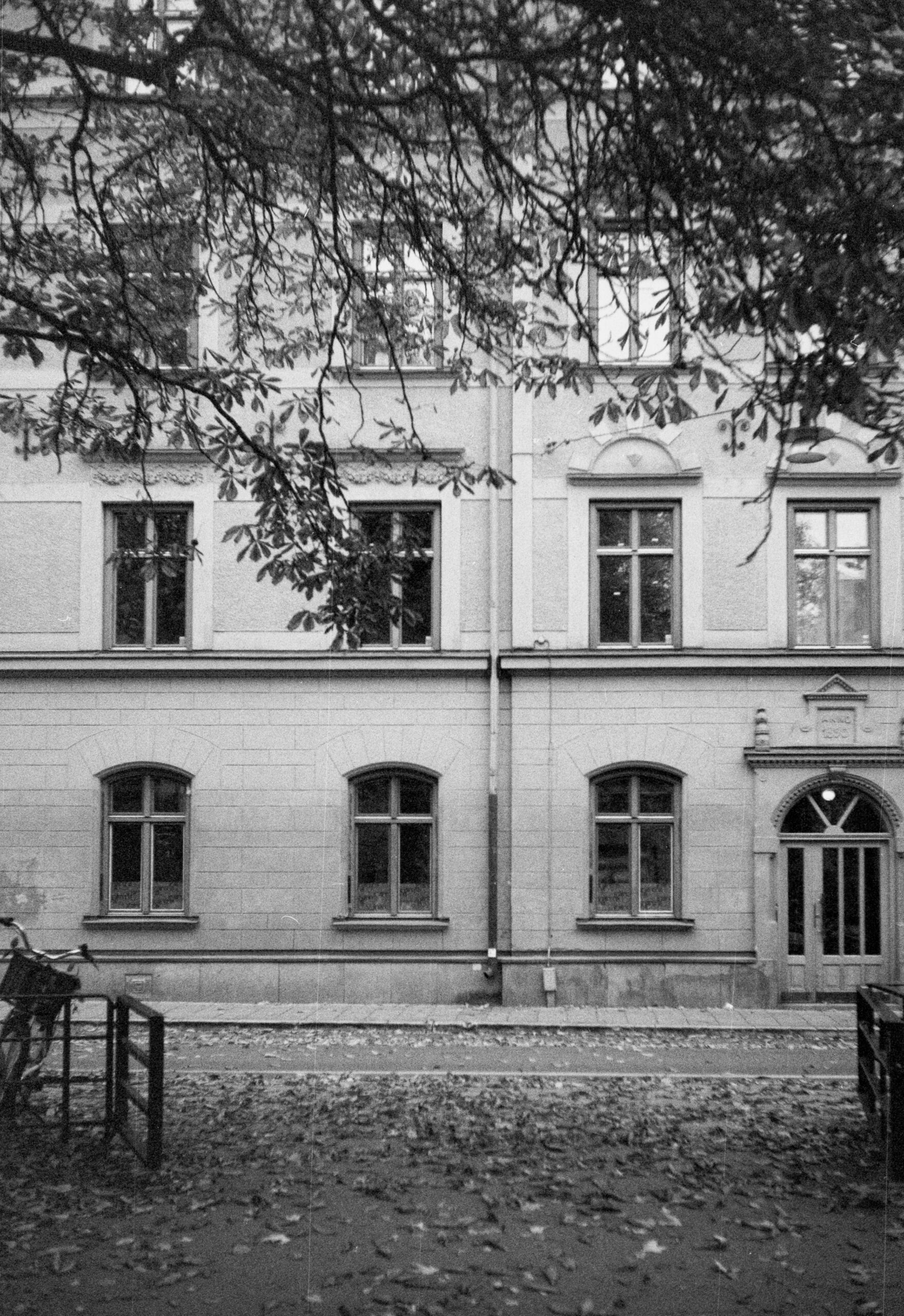 Gastrotipy | Prosinec 2024